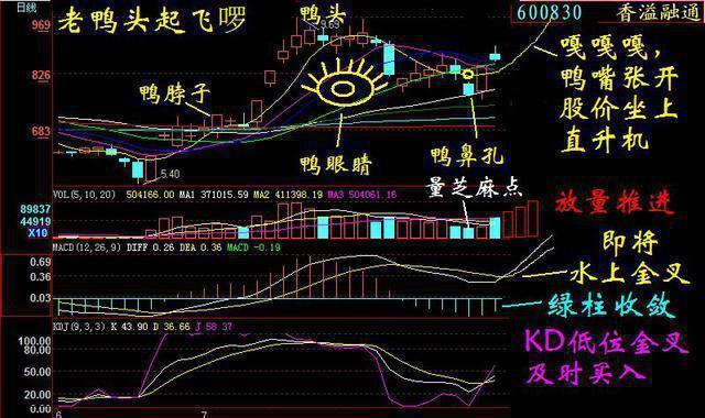 龙回头战法买入点分析_龙回头战法选股技巧_通达信上市了吗