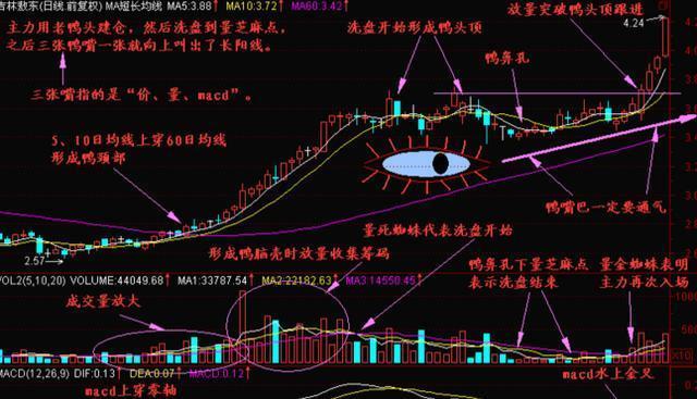 龙回头战法选股技巧_通达信上市了吗_龙回头战法买入点分析
