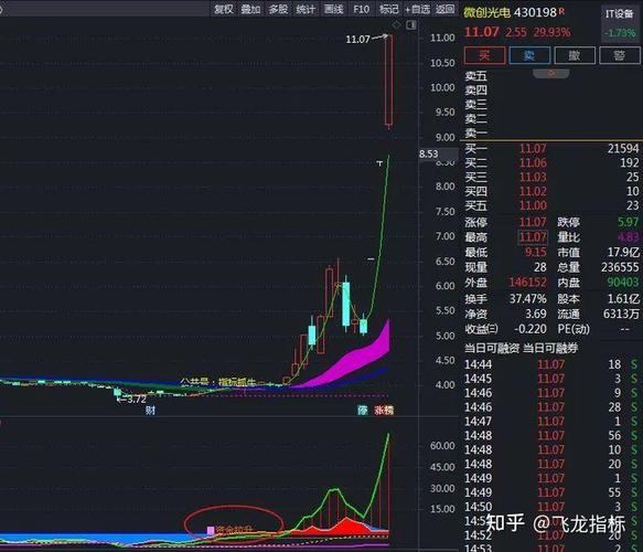 主力资金监控指标_散户游资机构主力监控指标公式_主力投资者投资行为分析