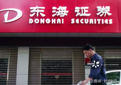 东海证券董事长配合调查 朱玺老鼠仓案 东海证券连续三年净利润下滑_东海证券股东 出大事
