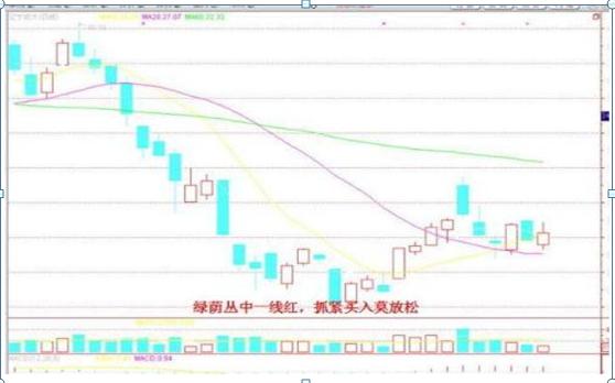 股票投资中输赢家比例分析_赢家眼里的股票投资规则_拉涨停需要多少资金