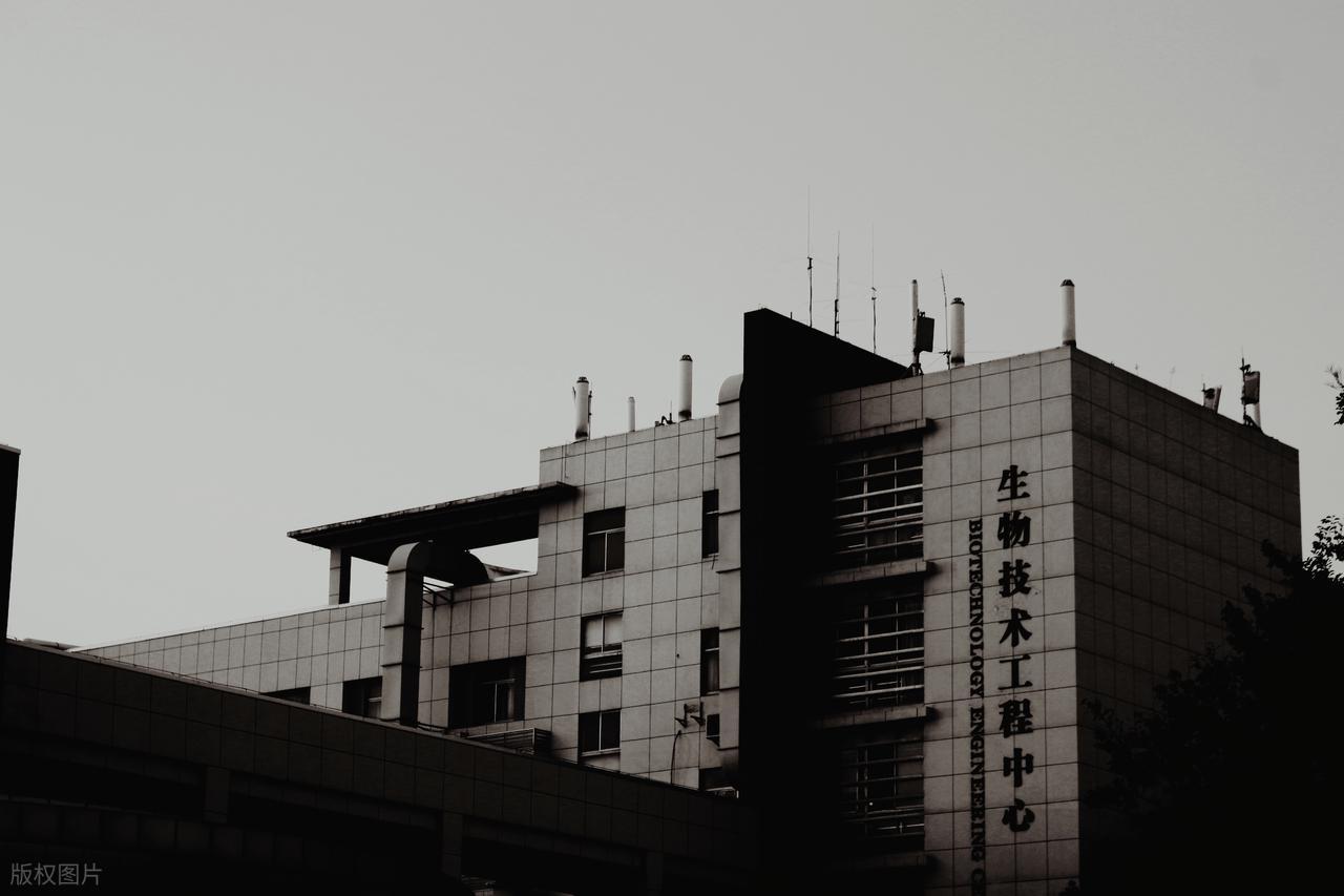 妈妈炒股亏千万_投资亏损经验_退休金股票风险