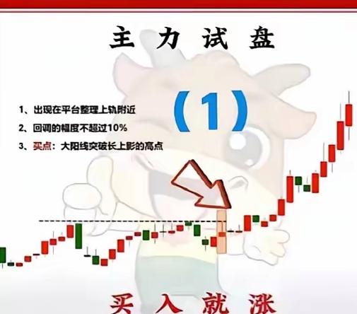 如何查看股票资金_基金重仓股选择策略_闻泰科技持仓分析