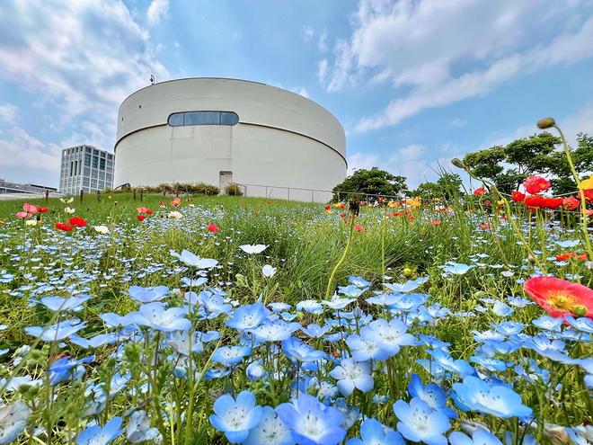 AI炒股机器人法律分析_非法经营罪证券投资咨询辩护_量化交易软件要多少钱