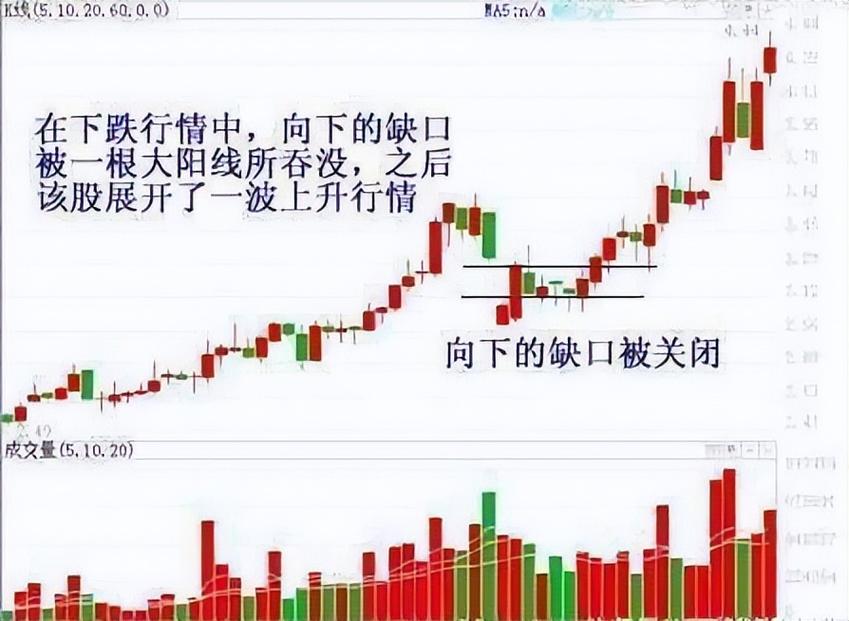 散户交易频率高_股票的流入流出什么意_亏钱本能习惯
