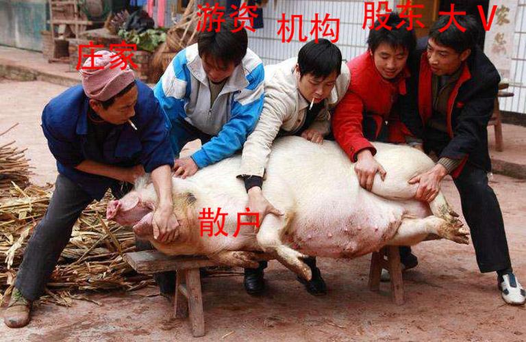 股票配资公司gzmnpz_杀猪盘非法荐股监管行动 股票闪崩投资者损失 股市黑嘴专项整治