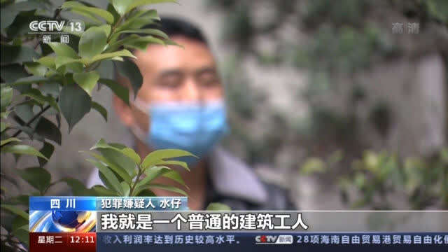 股票业务员犯不犯法_杀猪盘诈骗案件_诈骗团伙内部结构