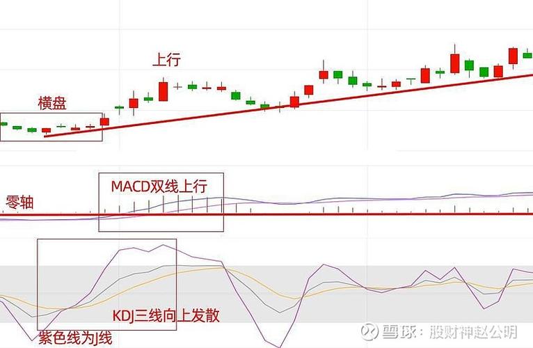 homes软件:功能强大的生活服务平台,含股票分析指标示例