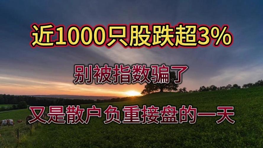 主力资金数据解读_主力资金流向陷阱_个股资金净流出
