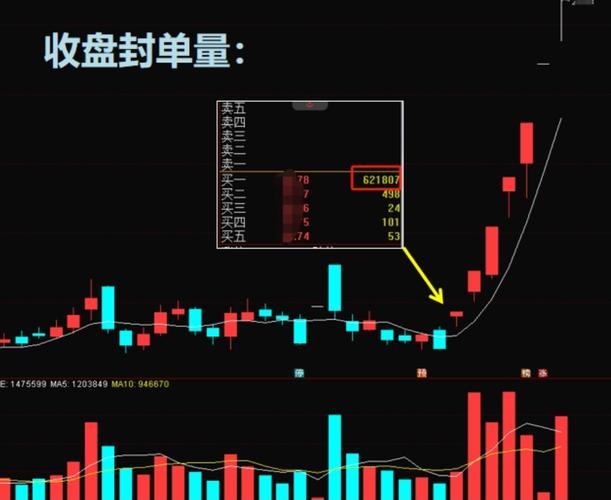 涨停资金净流出_个股资金净流出_低位首板净流出